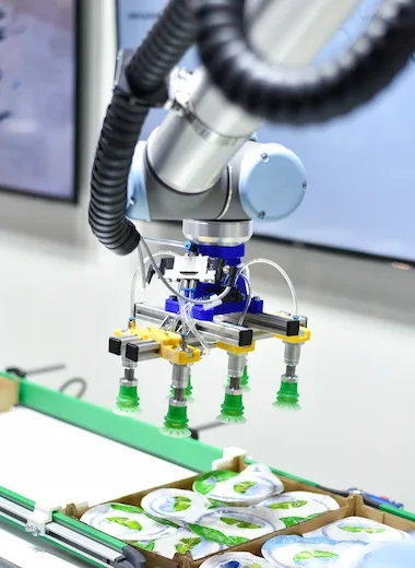 Mechanical robot with artificial intelligence sorts products on the conveyor